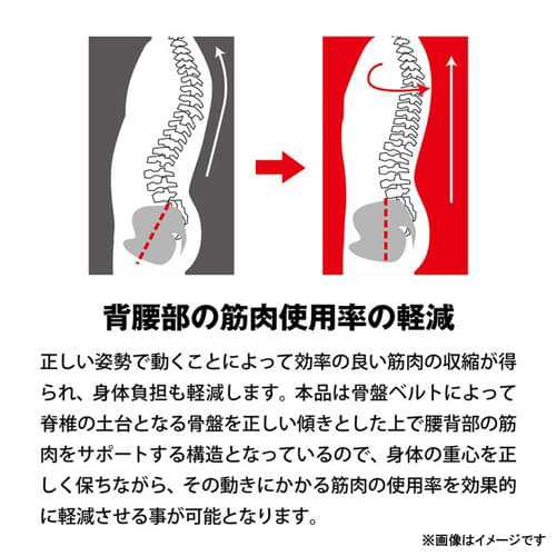【MORITO 全身アシストパワースーツ】の通販は