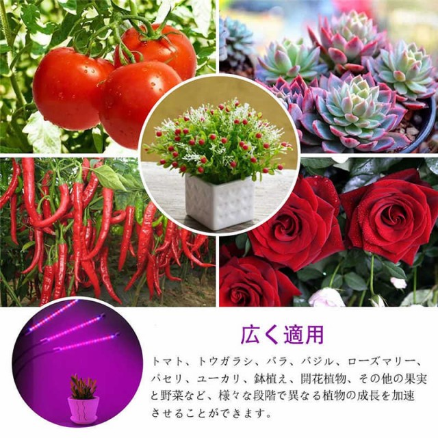 室内栽培ランプ植物育成ライト Led 植物ライト階調光 観賞用 3ヘッド付き 27w 10段 タイミング定時機能 3h 9h 12h Gg26の通販はau Pay マーケット Hawaiian Eagle 室内栽培ランプ植物育成ライト Led 植物ライト階調光 観賞用 3ヘッド付き 27w 10段 タイミング定時機能 3h 9h 12h Gg26の通販はau Pay マーケット Hawaiian Eagle