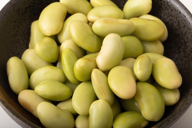 秘伝豆 1kg 豆力 山形県産 ひでん豆 国産 青大豆 枝豆 だいず