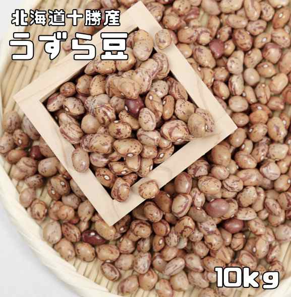 うずら豆 10kg 豆力 北海道十勝産 北海道産 アサヒ食品工業 うずら 国産 国内産 徳用 乾燥豆 手料理 手作り 煮豆用