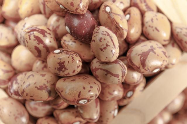 うずら豆 Amazon.co.jp: 豆力特選 北海道十勝産 うずら豆 10Kg : 食品