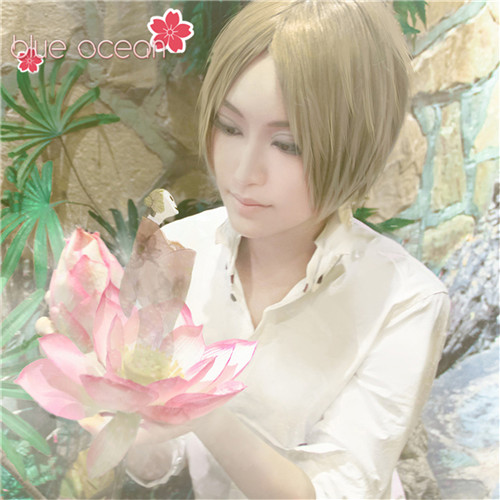 夏目友人帳 夏目貴志 風 コスプレ かつら ウィッグ 仮装変装