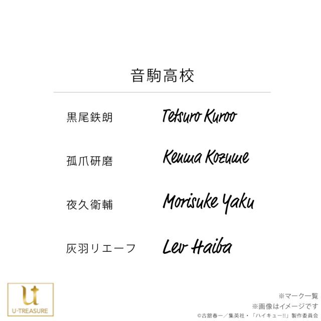 ハイキュー!! グッズ ネックレス リングネックレス 音駒高校 シルバー 選べるキャラクター ユニセックス 男女兼用 メンズ レディース アクセサリー ジュエリー 人気 ブランド プレゼント ギフト U-TREASURE ユートレジャー_5