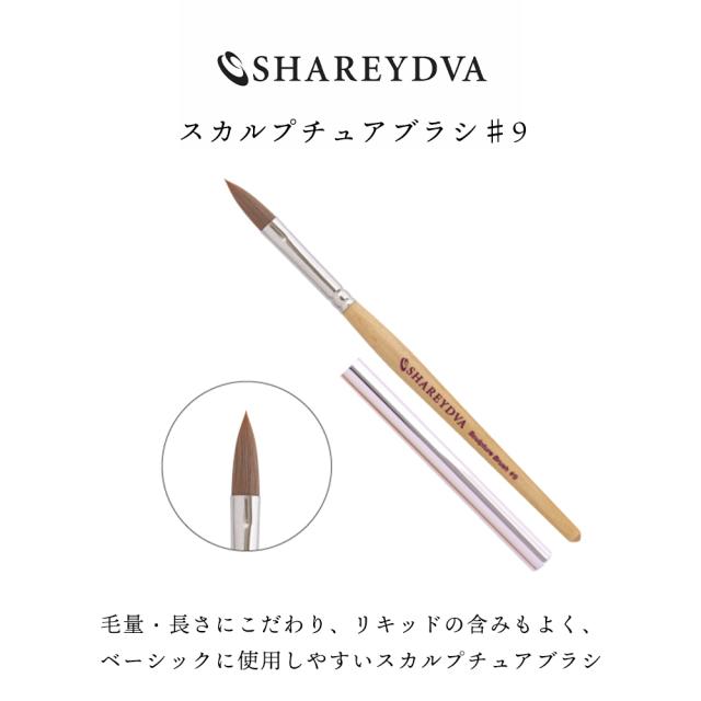 SHAREYDVAシャレドワ　スカルプチュアブラシ　NO.8 SHAREYDVAシャレドワ スカルプチュアブラシ NO.8