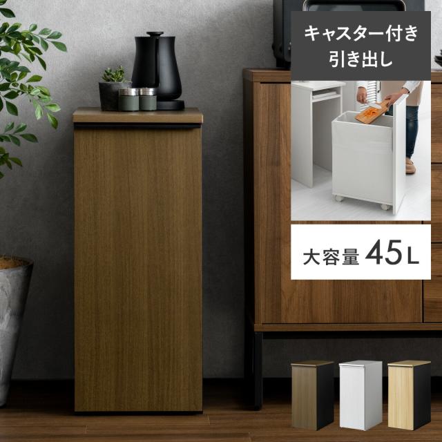 ごみ箱 引き出し 45リットル 大容量 キッチン リビングの通販は