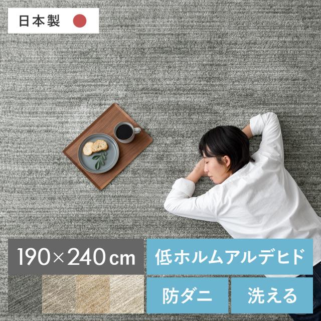 洗える マット ラグマット 洗濯 ウォッシャブル 防ダニ シャギーラグ 日本製 カーペット 北欧 おしゃれ かわいい ホットカーペット対応 長方形 190×240の通販は