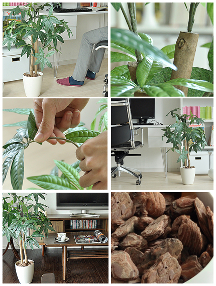 光触媒人工観葉植物 ホワイトポット付き V-CAT 楽天市場】光触媒