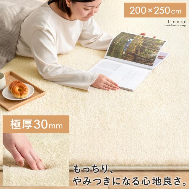 ラグ ラグマット クッションラグ パイル 極厚 ポリエステル ふわふわ シンプル 北欧 ナチュラル リビング用 居間用 ホットカーペット対応 床暖房対応 滑り止めの通販は
