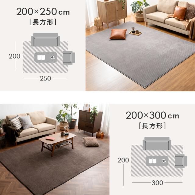 ラグ 洗える マット ラグマット 冬ラグ 冬用ラグ 長方形 起毛 短毛 北欧 モダン ナチュラル シンプル おしゃれ かわいい ホットカーペット対応の通販は