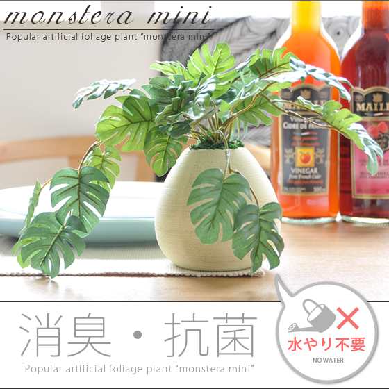 光触媒 観葉植物 モンステラミニ モンステラ 人工観葉植物 造花 V-CAT ...