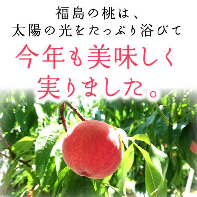 かわいい新作 桃 あかつき 家庭用 約3kg