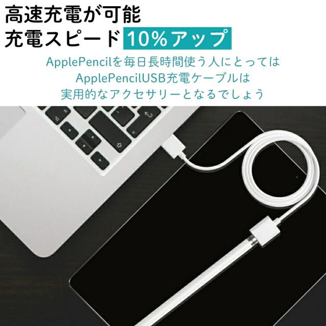 Apple Pencil (第2世代) 充電ケーブル・アダプタ付き Apple Pencil 第2世代 専用充電ケーブル 35cm 磁気充電 Type-C