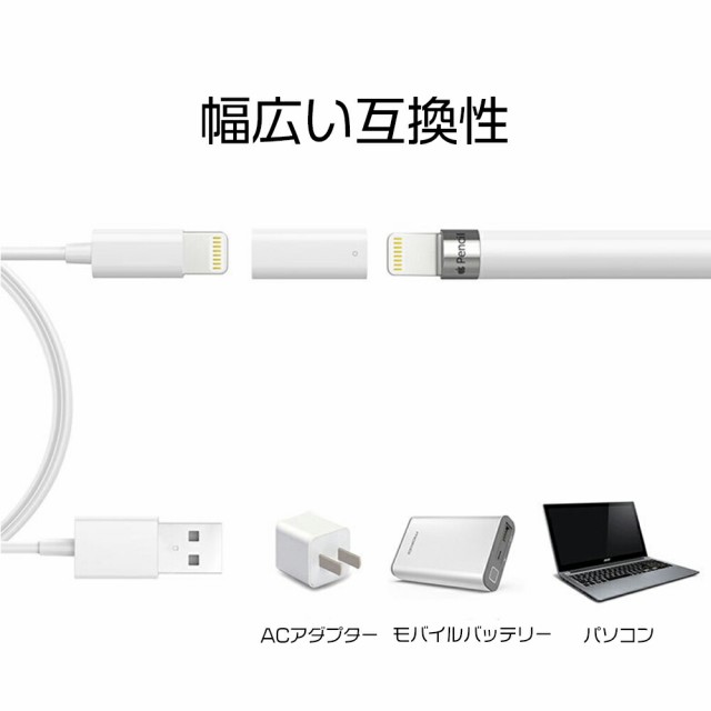 Apple Pencil 充電 アダプター USB ケーブル 用 変換 アダプタ