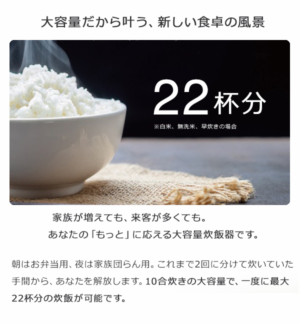 炊飯器１升 マイコン式炊飯器 一升 1.8L 10合 通常炊飯 大家族 業務用 大容量 スチーム調理 早炊き 炊込み 玄米 お粥 再加熱 保温 RM-223H