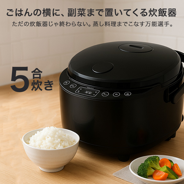 炊飯器 5合 マイコン式炊飯器 通常炊飯 保温＆予約OK 大容量 スチーム調理 早炊き 炊込み 玄米 お粥 再加熱 保温 RM-231H