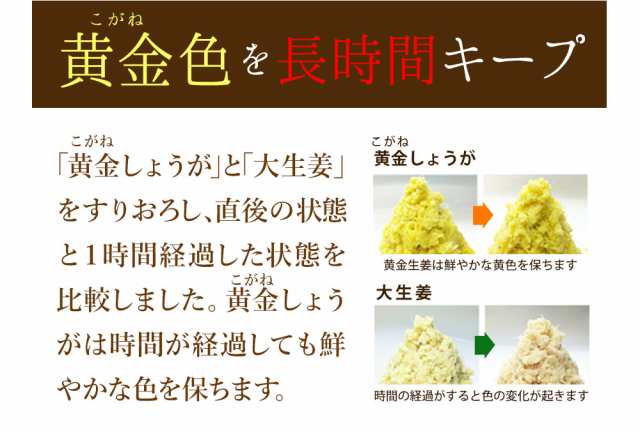 高知産 黄金生姜 4kg 送料無料 業務用 高知県産 生姜 国産 根生姜 囲い生姜 坂田信夫商店4,860円 期間限定今なら送料無料