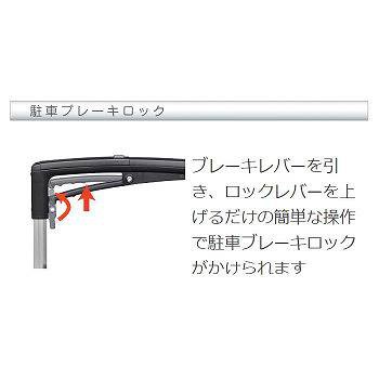 アイカート ボンベ No.855 酸素ボンベカー 3Lと2Lボンベが入る 【送料