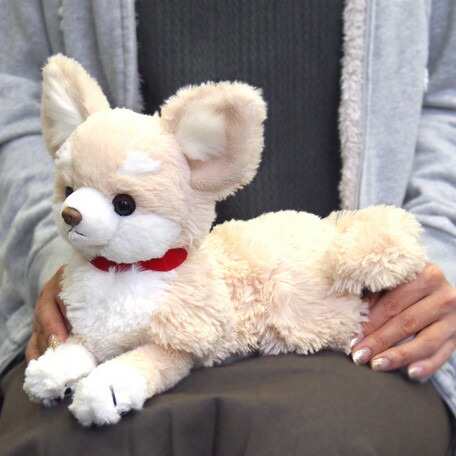 ひざわんこ チワワcr P 3002 1 犬 いぬ イヌ ぬいぐるみ 人形 玩具 おもちゃ キャラクターグッズ プレゼントに最適 の通販はau Pay マーケット 株式会社セレクトプラス