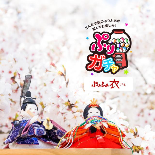 雛人形 アウトレット ひな人形 コンパクト  ぷりガチャ 衣 かわいい お雛様 ミニ 特選 雛の通販は