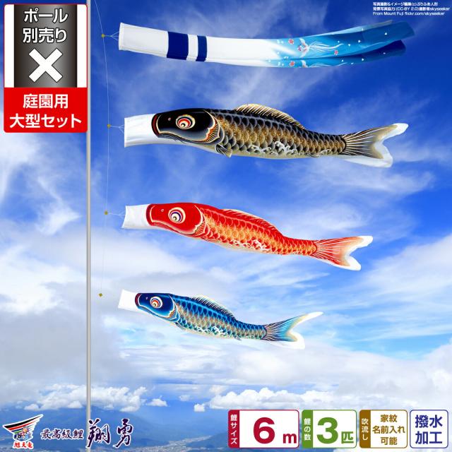 庭園用 こいのぼり 旭天竜 最高級縮緬風生地 翔勇鯉 6m 6点セット 庭園 大型セット 【ポール 別売】 日本鯉のぼり協会認定の通販は 221,750円