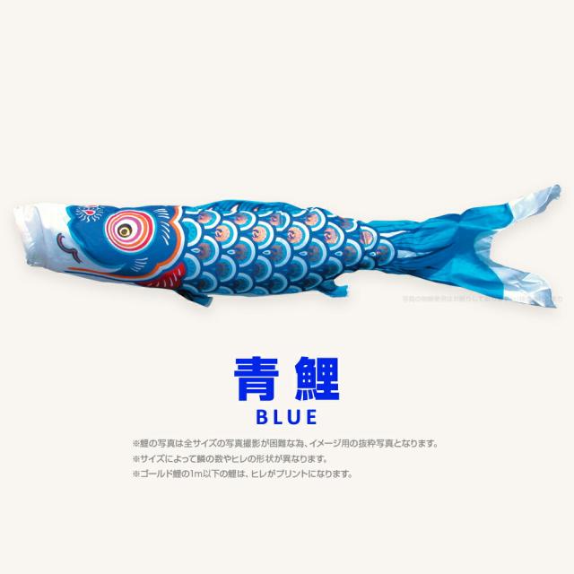 鯉のぼり5m 黄金（青鯉）