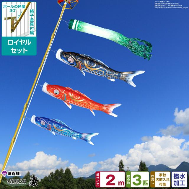 ベランダ用 こいのぼり 徳永鯉のぼり 金彩弦月之鯉 豪 2m 6点セット 格子金具付属 ベランダ ロイヤルセット 日本鯉のぼり協会認定の通販は