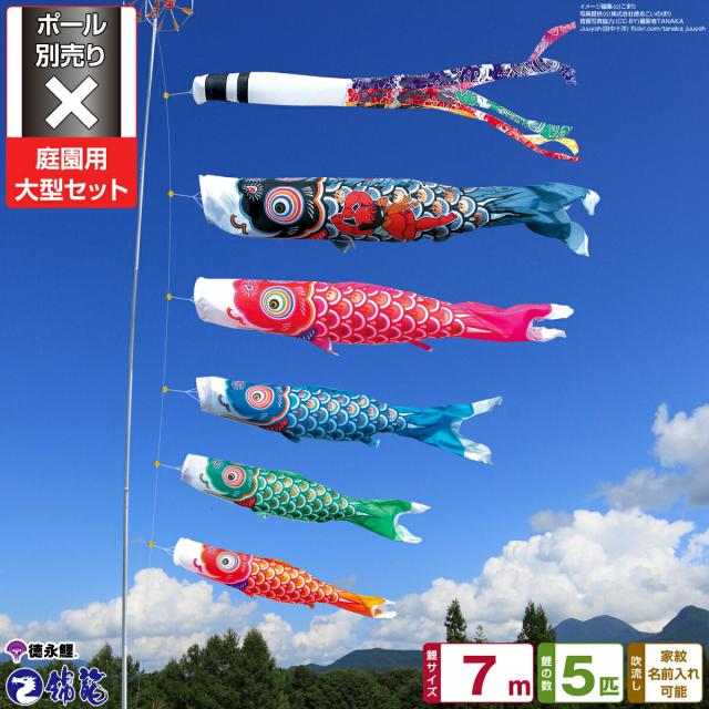 庭園用 こいのぼり 徳永鯉のぼり 錦龍 7m 8点セット 庭園 大型セット 【ポール 別売】 日本鯉のぼり協会認定の通販は