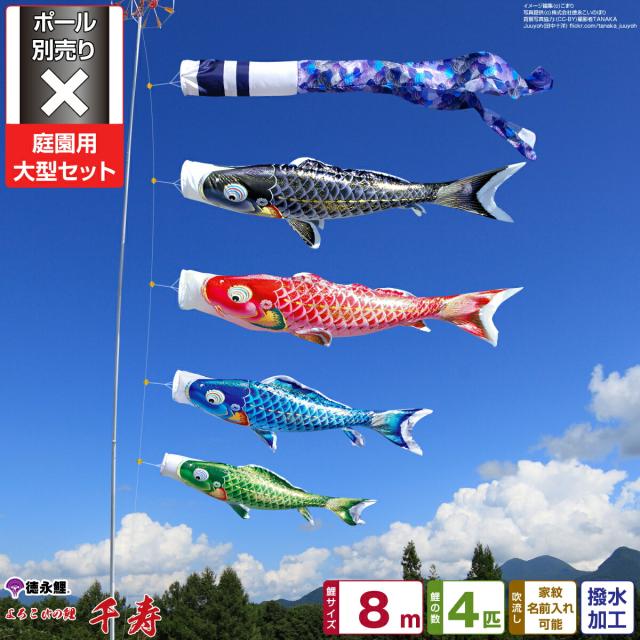 庭園用 こいのぼり 徳永鯉のぼり 千寿 8m 7点セット 庭園 大型セット 【ポール 別売】 日本鯉のぼり協会認定の通販は