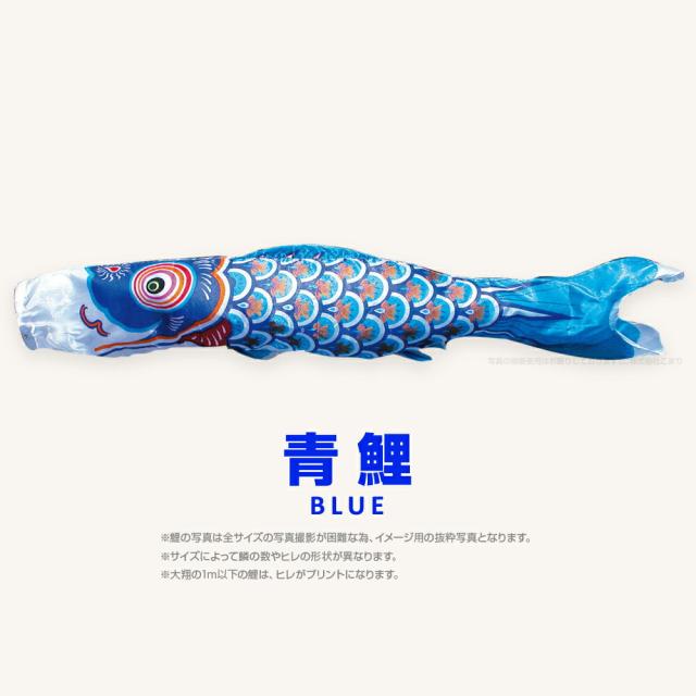 【こいのぼり 単品】 太翔 6m 単品鯉 黒 赤 青 日本鯉のぼり協会認定の通販は