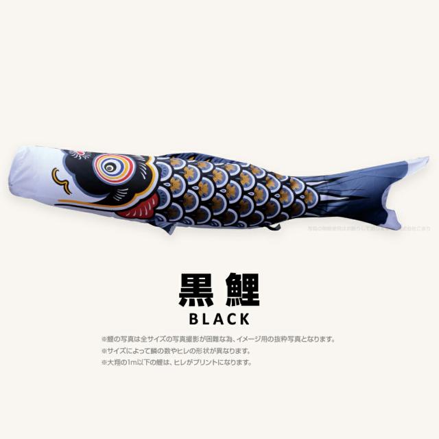【こいのぼり 単品】 太翔 6m 単品鯉 黒 赤 青 日本鯉のぼり協会認定の通販は