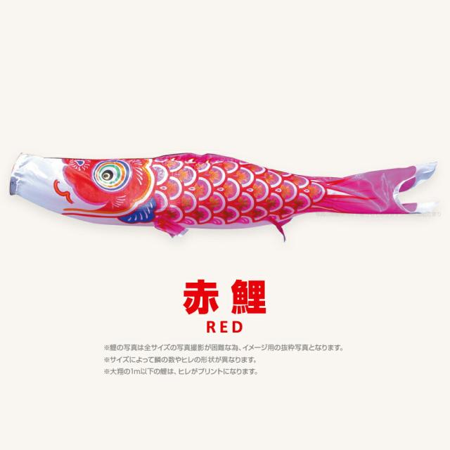 【こいのぼり 単品】 太翔 6m 単品鯉 黒 赤 青 日本鯉のぼり協会認定の通販は