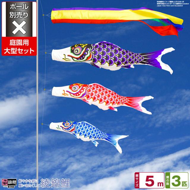 綾錦鯉5mセット 【公式通販】