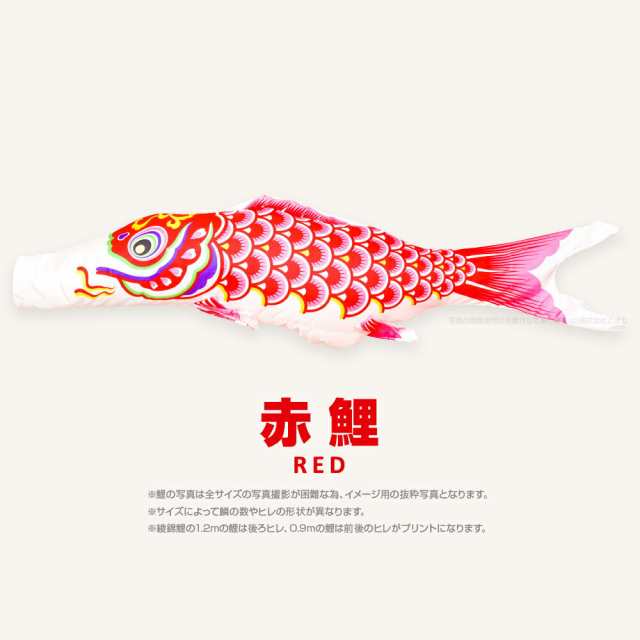 こいのぼり 単品】 綾錦鯉 4m 単品鯉 日本鯉のぼり協会認定