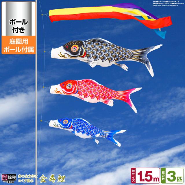 庭園用 こいのぼり 錦鯉 寿の金文字にたくす親心 金寿鯉 1.5m 6点セット 庭園用 ポール付属 ガーデンセット 日本鯉のぼり協会認定の通販は 28,145円