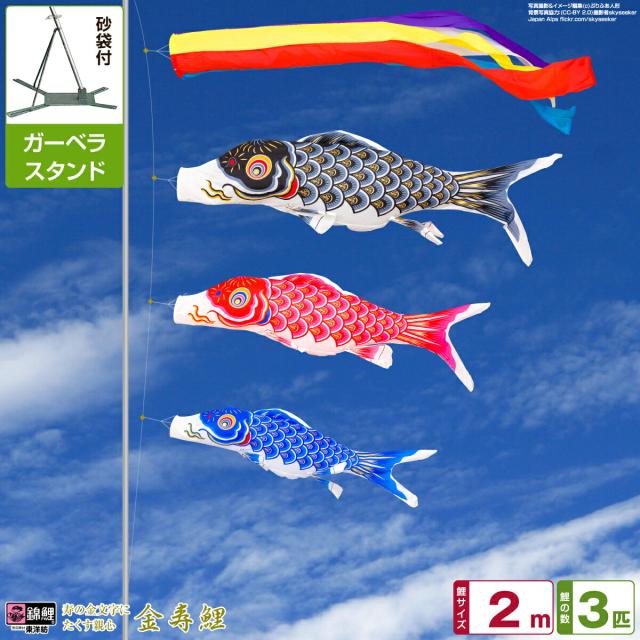 ベランダ用 こいのぼり 錦鯉 寿の金文字にたくす親心 金寿鯉 2m 6点セット 庭園 ベランダ 兼用 ガーデンベランダセット スタンド付属 日本鯉のぼり協会認定の通販は 44,880円