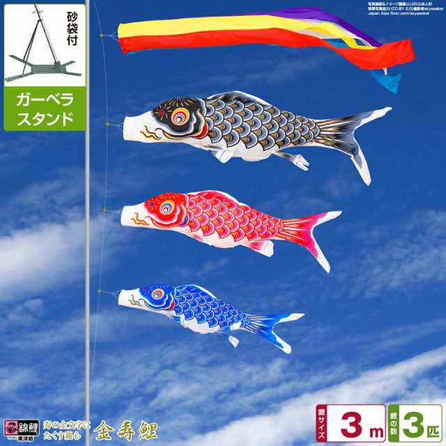 ベランダ用 こいのぼり 錦鯉 寿の金文字にたくす親心 金寿鯉 3m 6点セット 庭園 ベランダ 兼用 ガーデンベランダセット スタンド付属