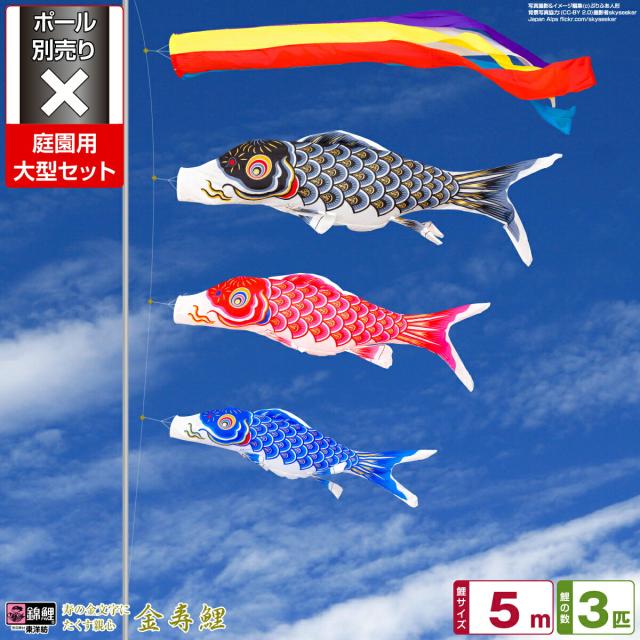 庭園用 こいのぼり 錦鯉 寿の金文字にたくす親心 金寿鯉 5m 6点セット 庭園 大型セット 【ポール 別売】 日本鯉のぼり協会認定の通販は