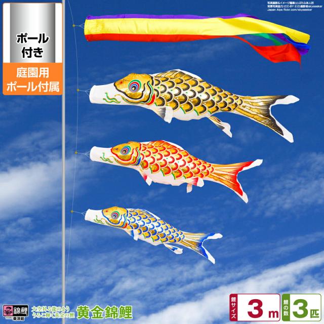 庭園用 こいのぼり 錦鯉 黄金錦鯉 3m 6点セット 庭園用 ポール付属 ガーデンセット 日本鯉のぼり協会認定の通販は 43,560円