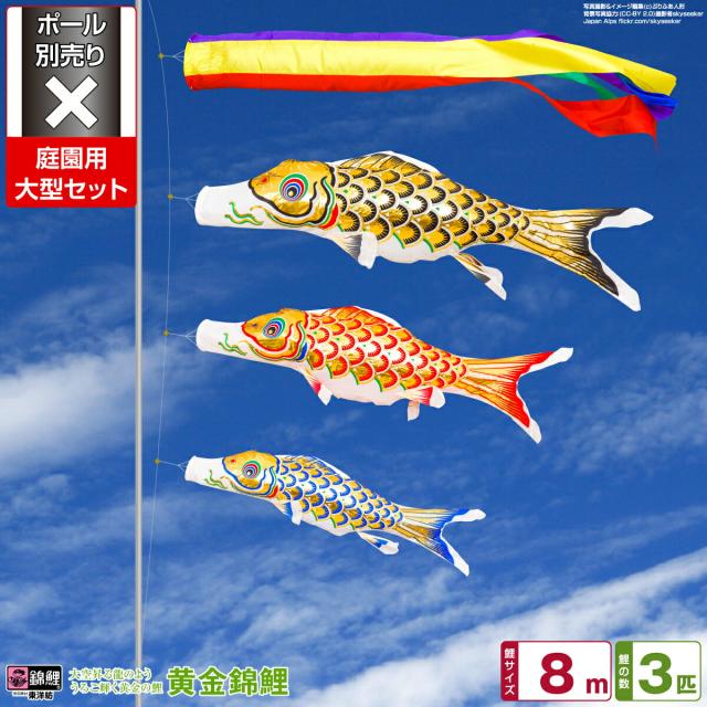 庭園用 こいのぼり 錦鯉 黄金錦鯉 8m 6点セット 庭園 大型セット 【ポール 別売】の通販は