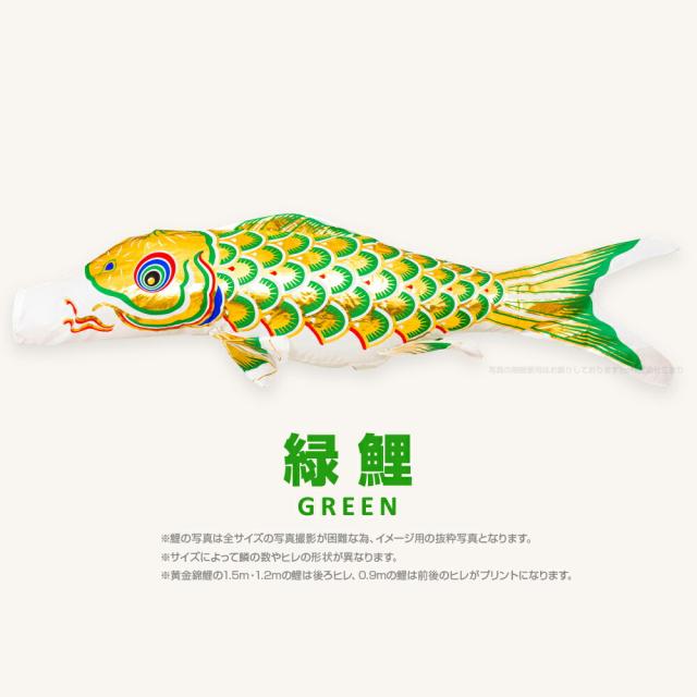 鯉のぼり　5m 黄金 庭用大型 黄金鯉 (五色吹流し) 10m 6点セット | 別途料金で