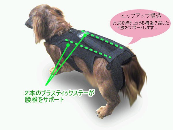 犬用コルセット わんコル ｓサイズ 小型犬用の通販はau Pay マーケット ちょっとみてっ亭