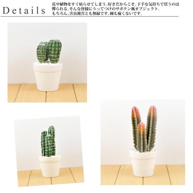 サボテン 風 インテリア 置き物 多肉植物 風 人口観葉植物 装飾品 オーナメント 置物 かわいい 可愛い 仙人掌 植物 造花 観葉植物の通販はau Pay マーケット ｆｒａｎｎｙ ｚｏｏｅｙ