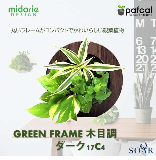 土を使わない壁掛け観葉植物 ミドリエデザイン Greenframe木目調ダーク17c4の通販はau Pay マーケット ミドリエデザイン公式shop