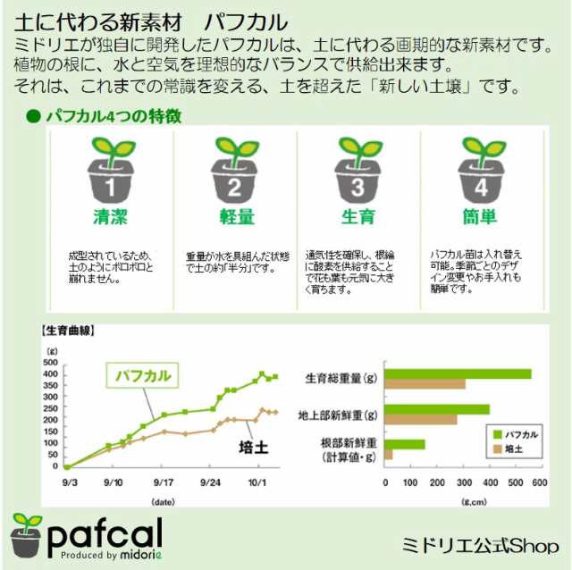 土を使わない壁掛け観葉植物 ミドリエデザイン Frame３点セット 10