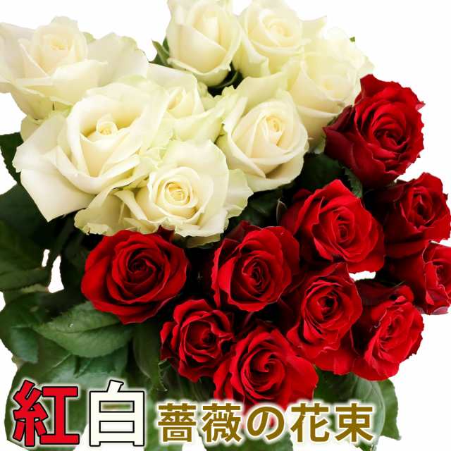 紅白のバラの花束 50cm 本 無料ラッピング 産地直送 全国 送料無料 徳島県海陽町産 長 薔薇 生花 切り花 花束 卒業 入学 退職祝い の通販はau Pay マーケット ありがとうわくわくの 阿波の産直便