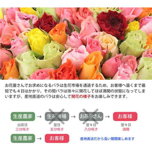 紅白のバラの花束 50cm 本 無料ラッピング 産地直送 全国 送料無料 徳島県海陽町産 長 薔薇 生花 切り花 花束 卒業 入学 退職祝い の通販はau Pay マーケット ありがとうわくわくの 阿波の産直便