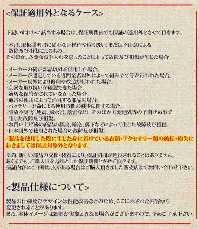 超軽量　バランススクータ―　ミニセグウェイ 6.5インチ　黒色　新品・保証付き