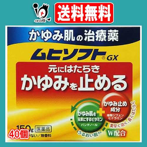 【第3類医薬品】★ムヒソフトＧＸ 150g×40個セット 【池田模範堂】