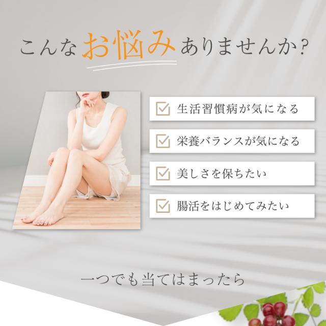 【栄養補助食品】贅沢酵素 30本入×3個セット【すみや】美味しくつづける 酵素サプリ ゼリータイプ 70種類の国産原料を発酵させて作った酵素 不足しがちな栄養素補給に 冷えや疲れなどが気になる方に 金時しょうが 乳酸菌 食物繊維 腸活 防腐剤 着色料 添加物 砂糖不使用_1