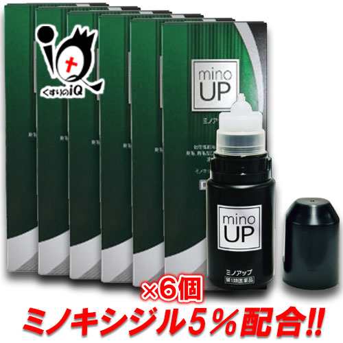 【第1類医薬品】ミノアップ 60ml × 6個セット【東和薬品】ミノキシジル5％配合 ミノケア リザレック アロゲイン ミノグロウ スカルプDも